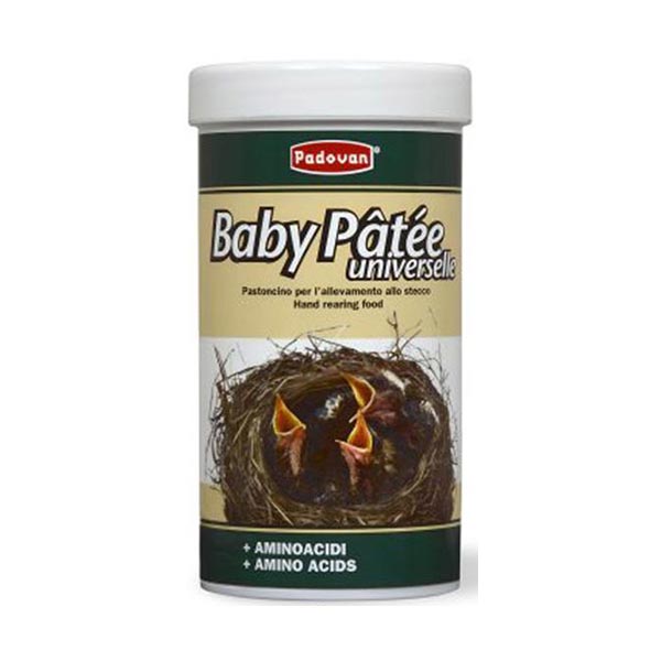 سرلاک جوجه پادوان