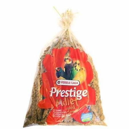 خوشه ارزن MILLET SPRAYS