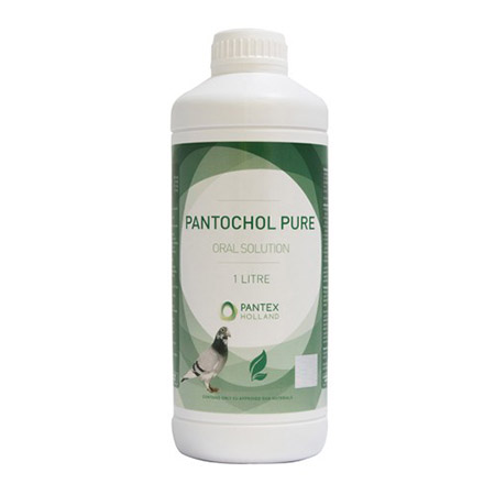 Pantochol Pure