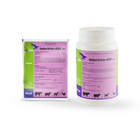 اینترتریم intertrim 480