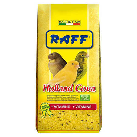 Holland Cova