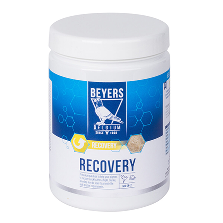 RECOVERY