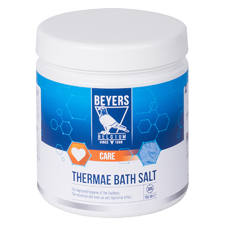 thermae