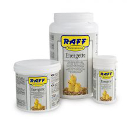 سرلاک قناری راف Raff Energette