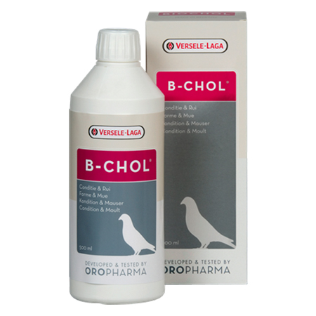 Versele Laga B-Chol