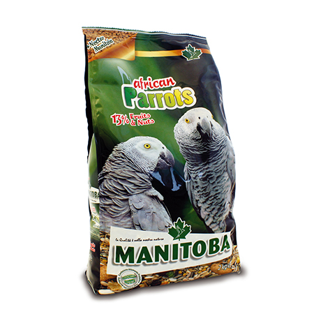 AFRICAN PARROTS