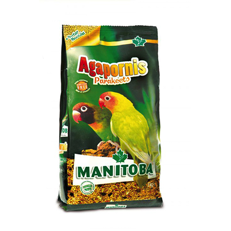 AGAPORNIS PARAKEETS
