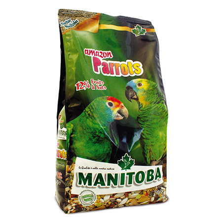 AMAZON PARROTS