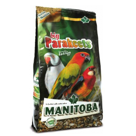BIG PARAKEETS ENERGY
