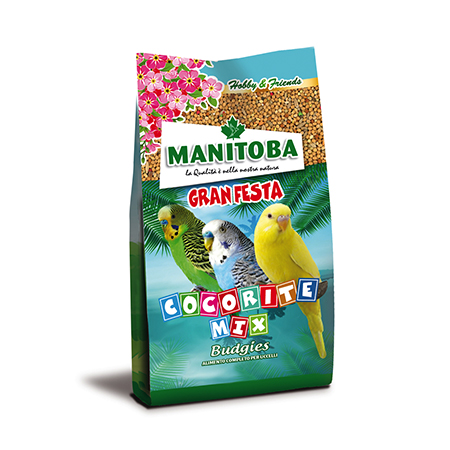 BUDGIE MIX