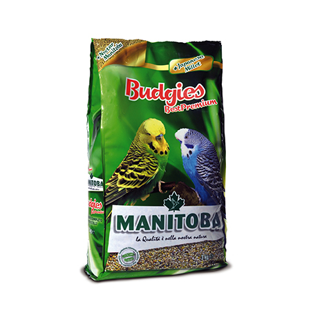 BUDGIES