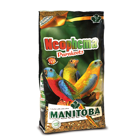 NEOPHEMA PARAKEETS
