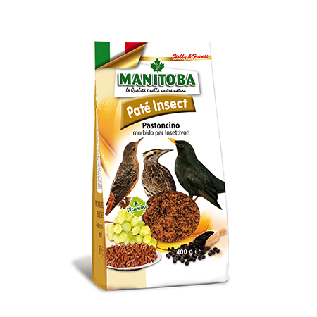 PATE INSECT