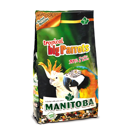 TROPICAL BIG PARROTS