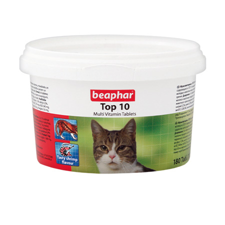 Top 10 Cat