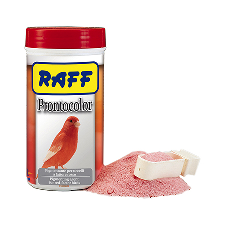 Prontocolor